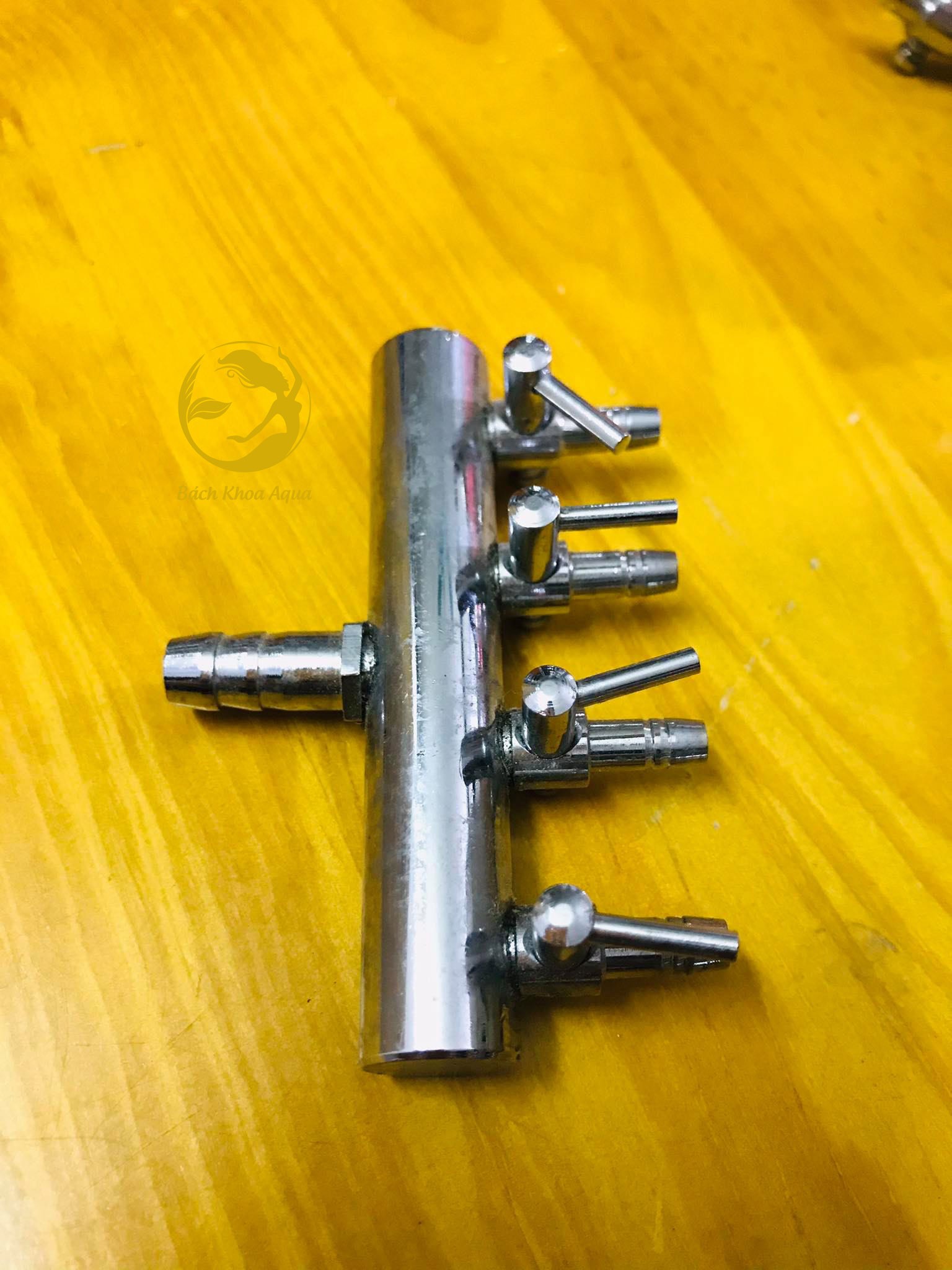 Chia sủi Inox - To